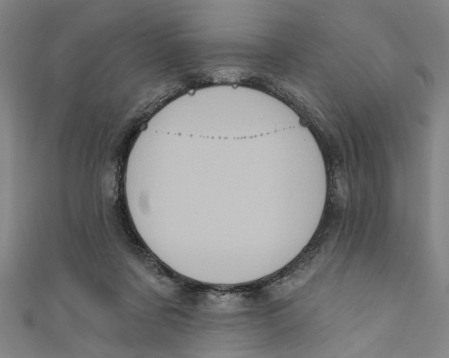 X0000110940311200907101252