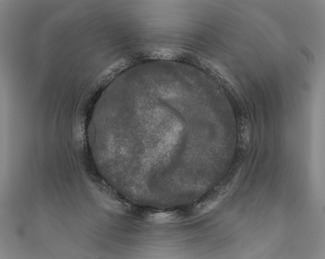 X0000110940312200907101252