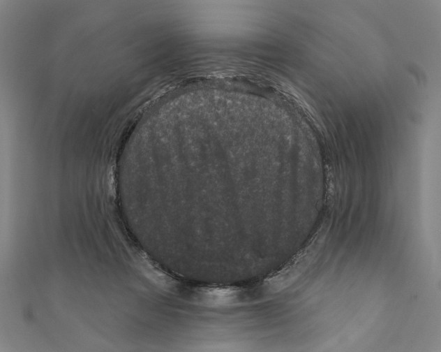 X0000110940313200907101252
