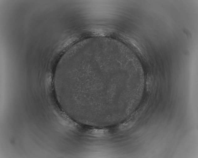X0000110940314200907101252