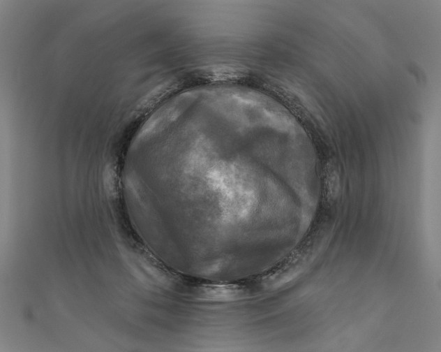 X0000110940316200907101252