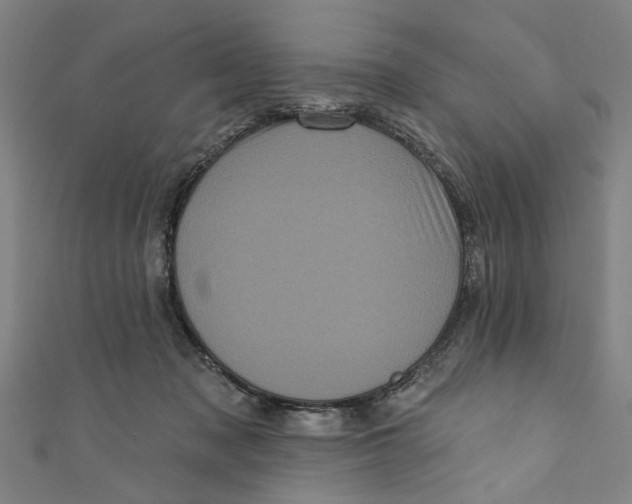 X0000110940317200907101252