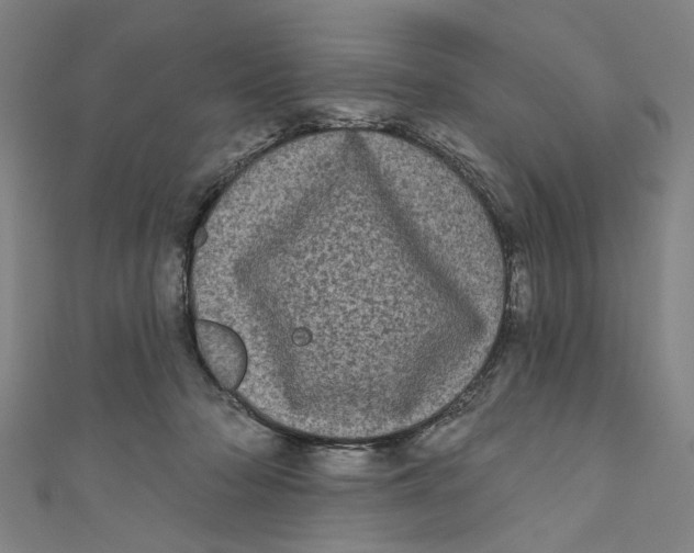 X0000110940318200907101252