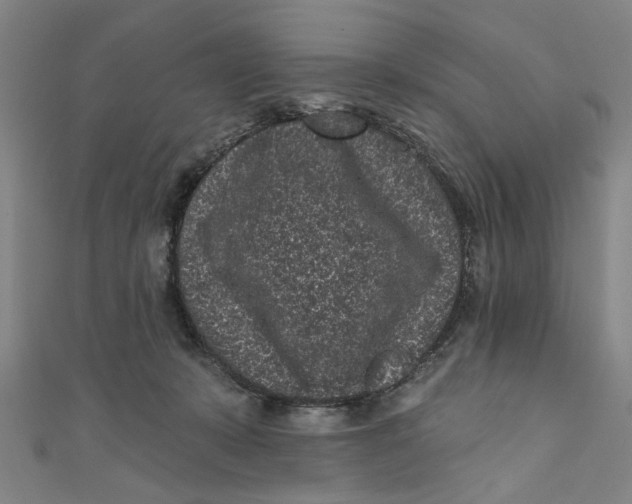X0000110940319200907101252