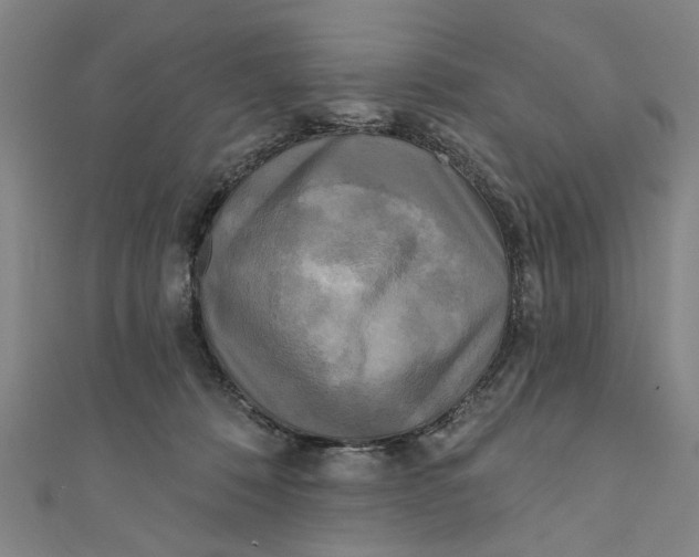 X0000110940320200907101252