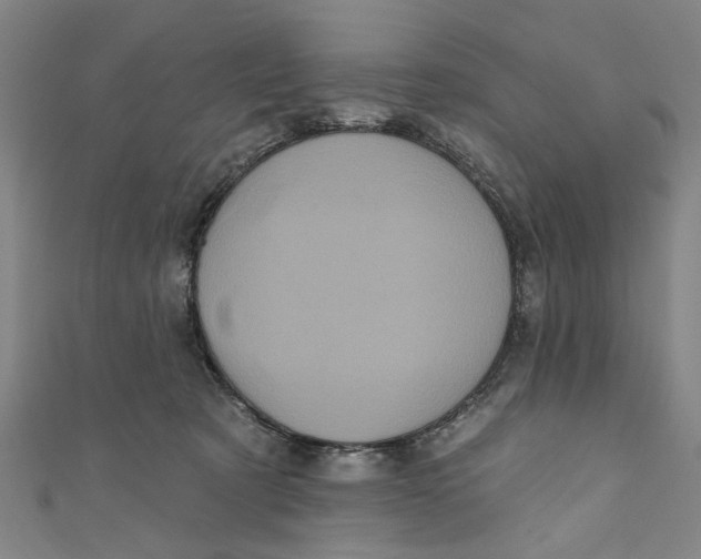 X0000110940321200907101252