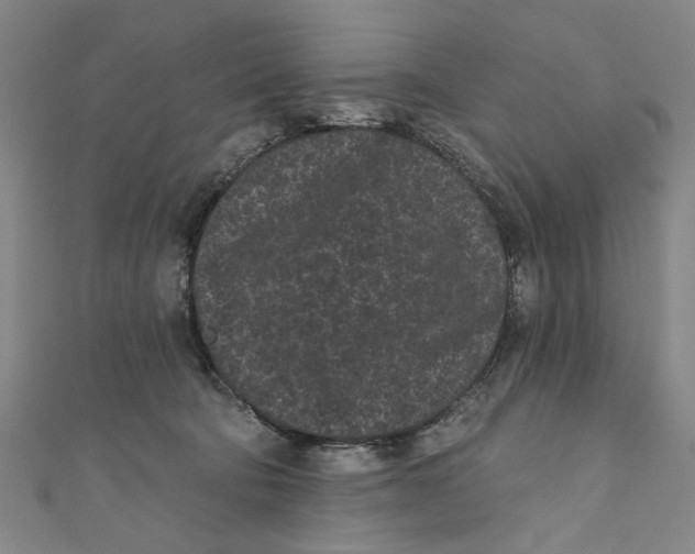 X0000110940322200907101252