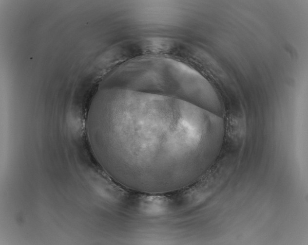 X0000110940324200907101252