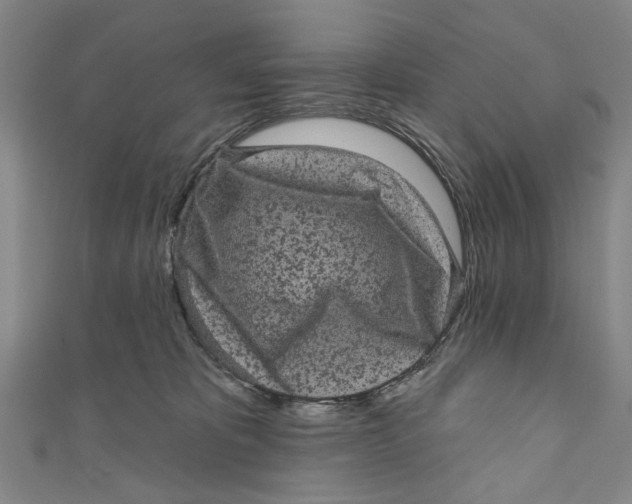 X0000110940325200907101252