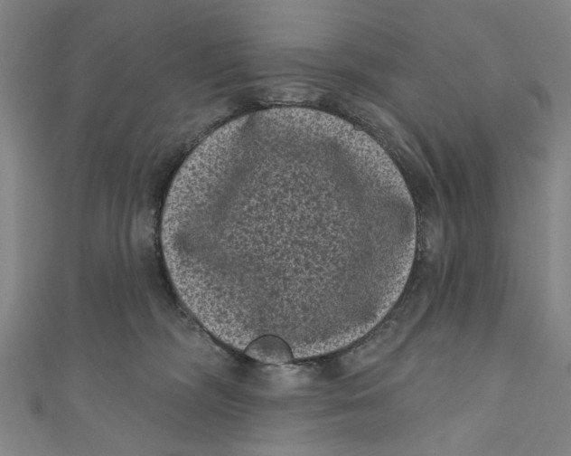 X0000110940326200907101252