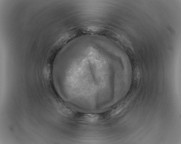 X0000110940328200907101252