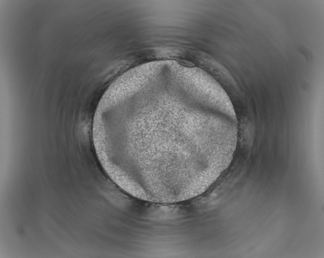 X0000110940329200907101252
