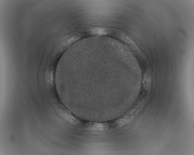 X0000110940330200907101252