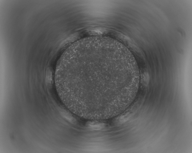 X0000110940331200907101252