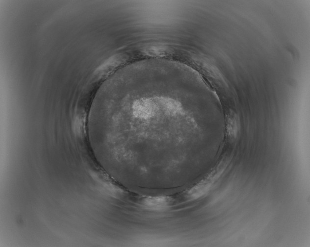 X0000110940332200907101252