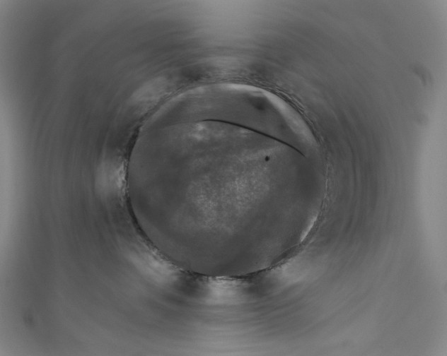 X0000110940336200907101252