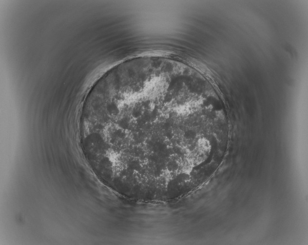 X0000110940337200907101251