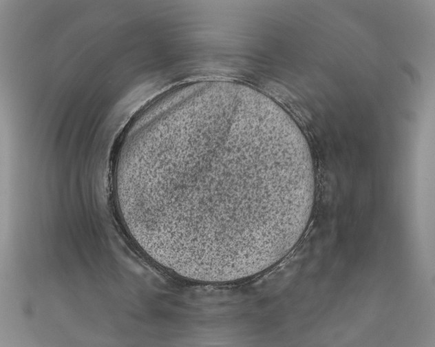 X0000110940338200907101251