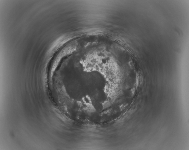 X0000110940339200907101251