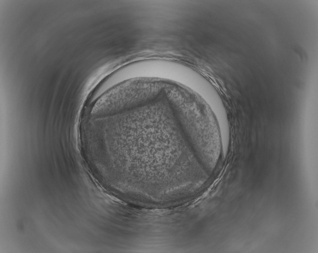 X0000110940340200907101251