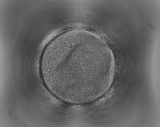 X0000110940341200907101251