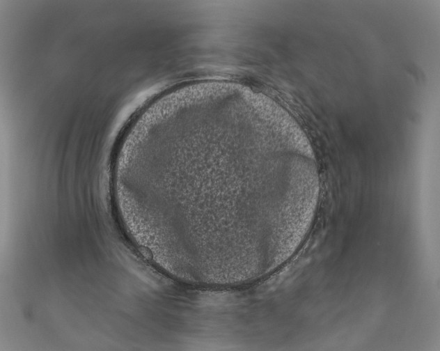X0000110940342200907101251