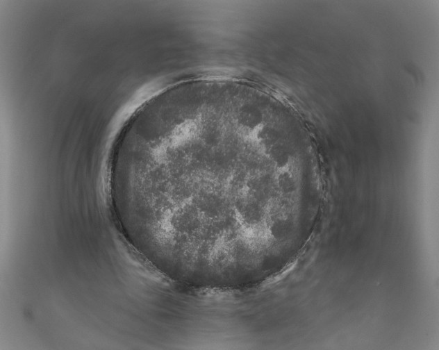 X0000110940343200907101251