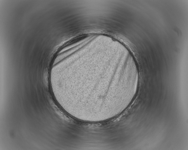 X0000110940345200907101251