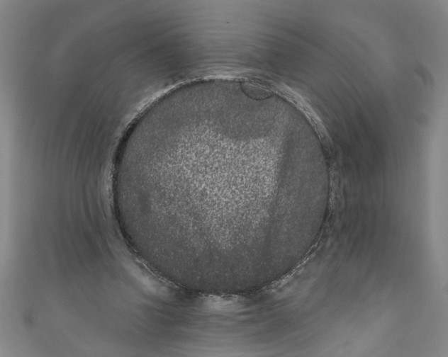 X0000110940346200907101251