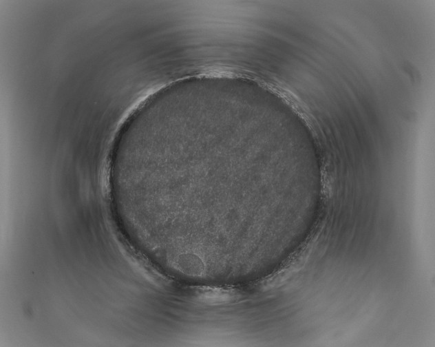 X0000110940347200907101251