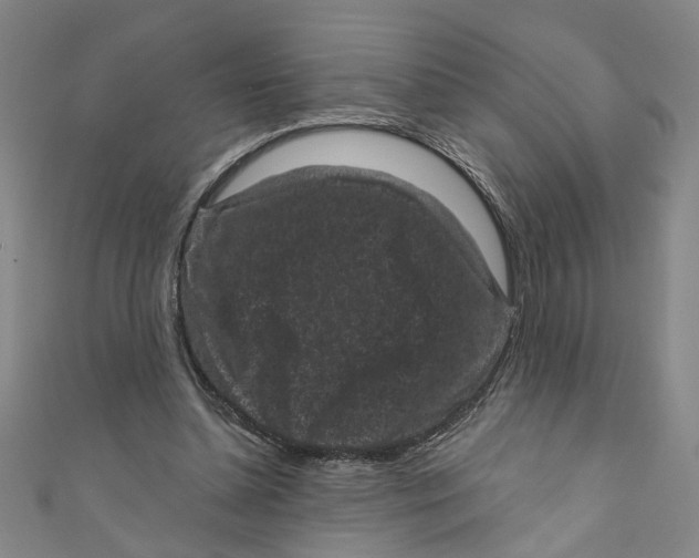 X0000110940348200907101251