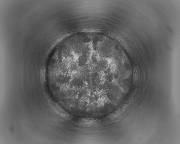 X0000110940351200907101251