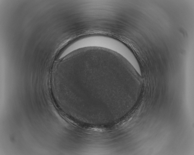 X0000110940352200907101251