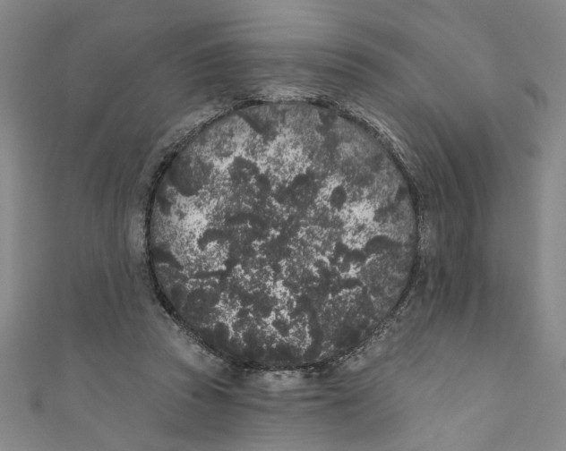 X0000110940353200907101251