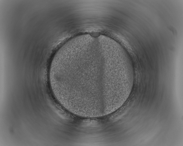 X0000110940354200907101251