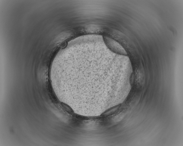 X0000110940356200907101251