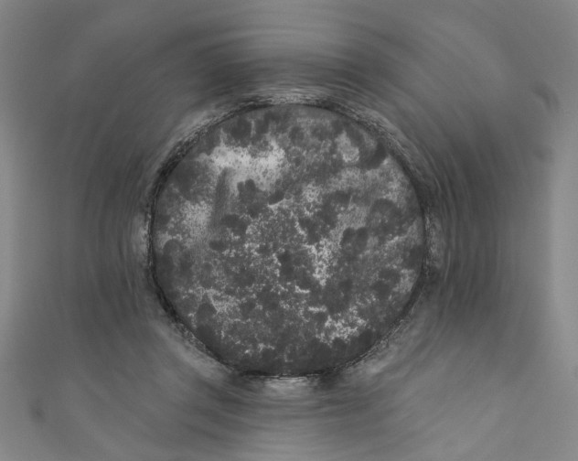 X0000110940357200907101251