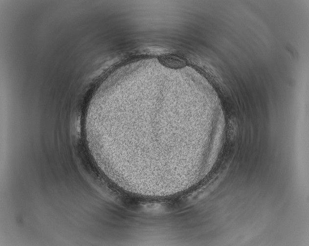 X0000110940358200907101251