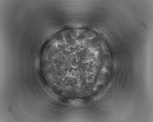 X0000110940359200907101251