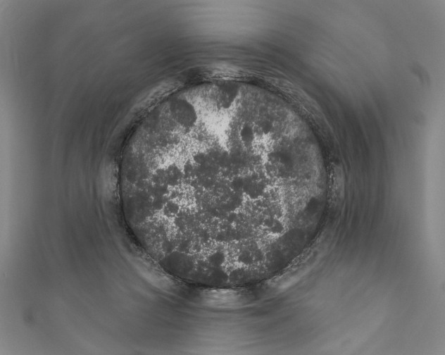 X0000110940361200907101251