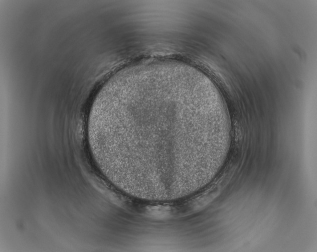 X0000110940362200907101251