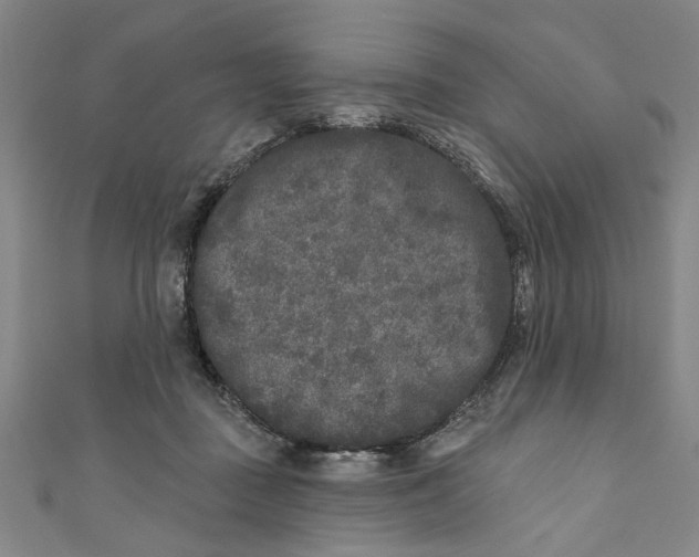 X0000110940363200907101251