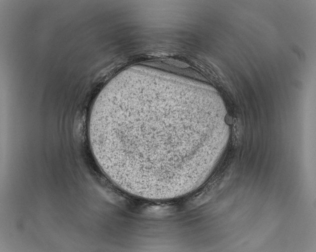 X0000110940364200907101251