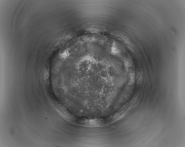 X0000110940365200907101251