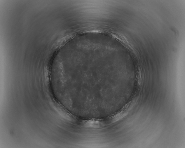 X0000110940366200907101251