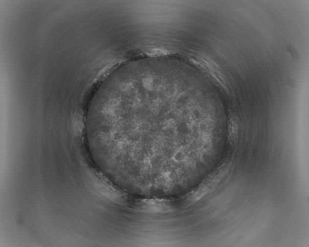X0000110940367200907101251