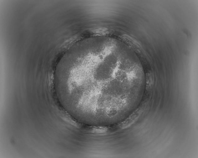 X0000110940369200907101251