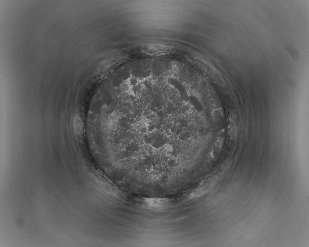 X0000110940371200907101251