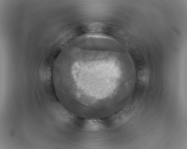 X0000110940372200907101251