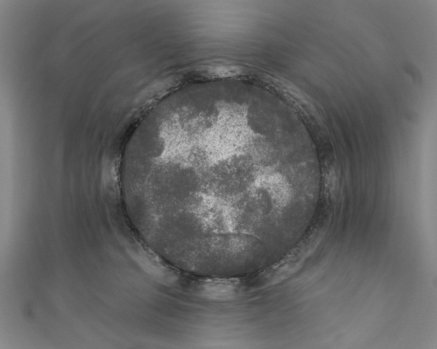 X0000110940373200907101251